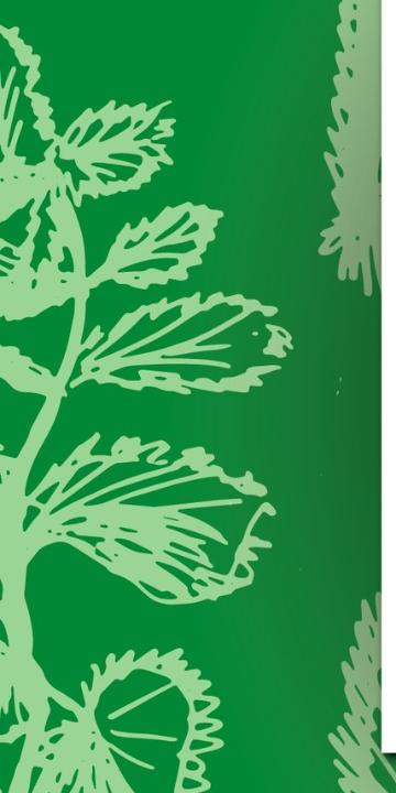 KOPRIVE & INSTRUMENTS