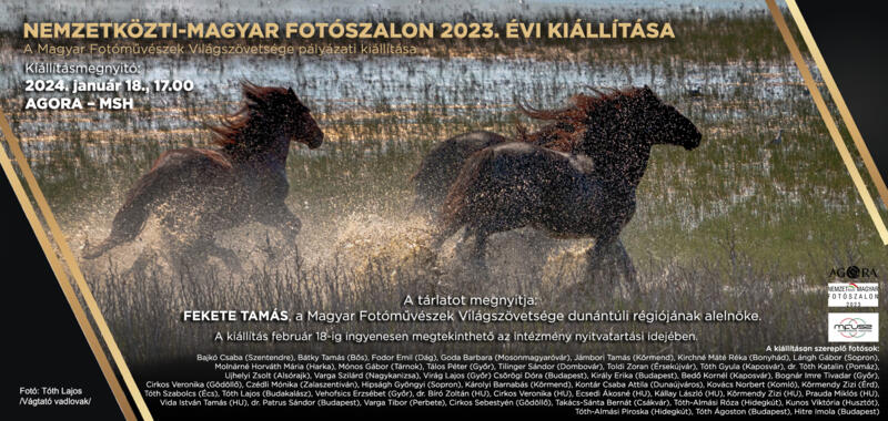 NEMZETKZTI-MAGYAR FOTSZALON 2023. VI KILLTSA