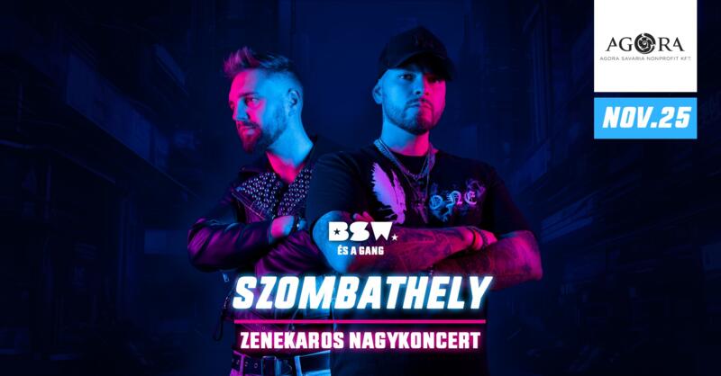 BSW NAGYKONCERT 