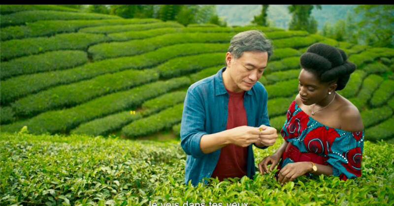 A TEA ILLATA