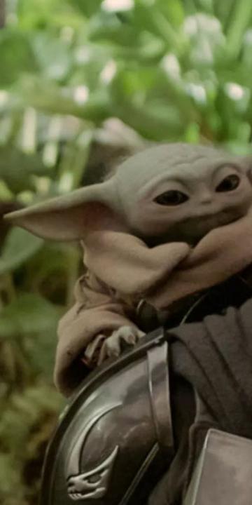 STAR WARS: A MANDAL�RI �S GROGU